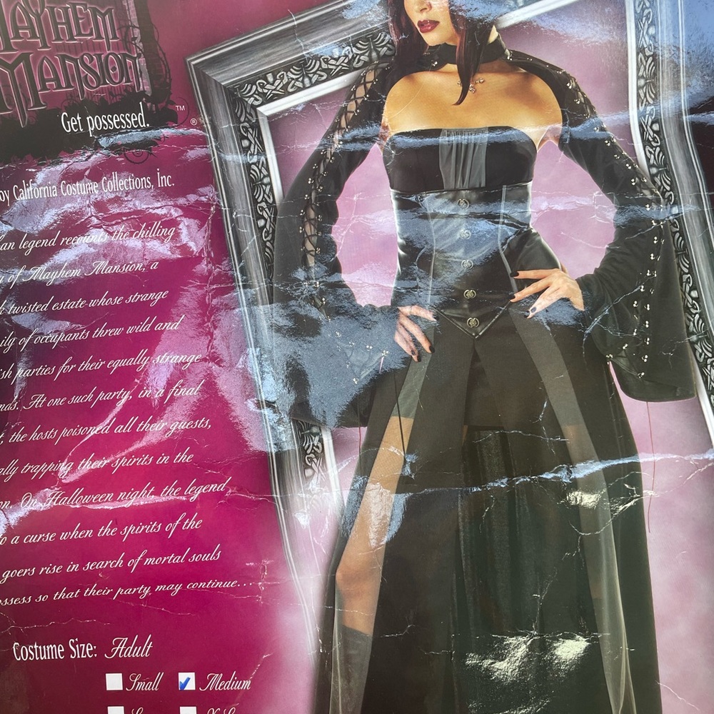 Halloween Costume “Baroness Van Bloodshed” Vampire